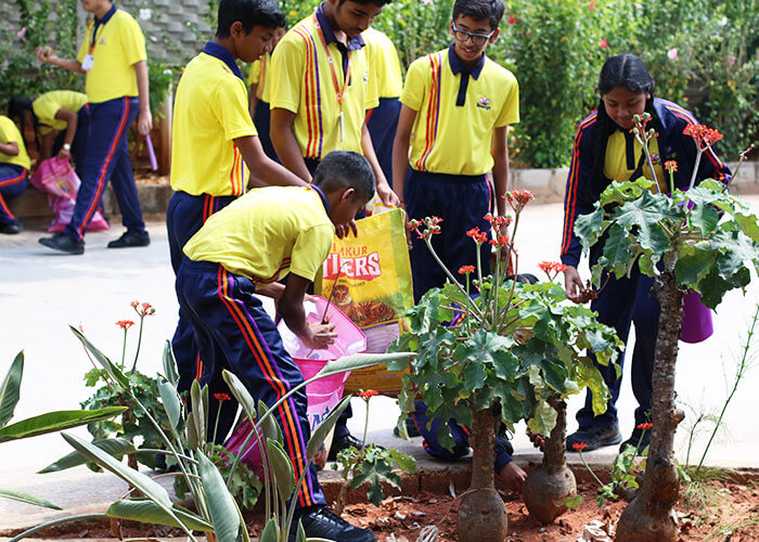 cleaning-school-2